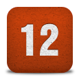 Icon 12